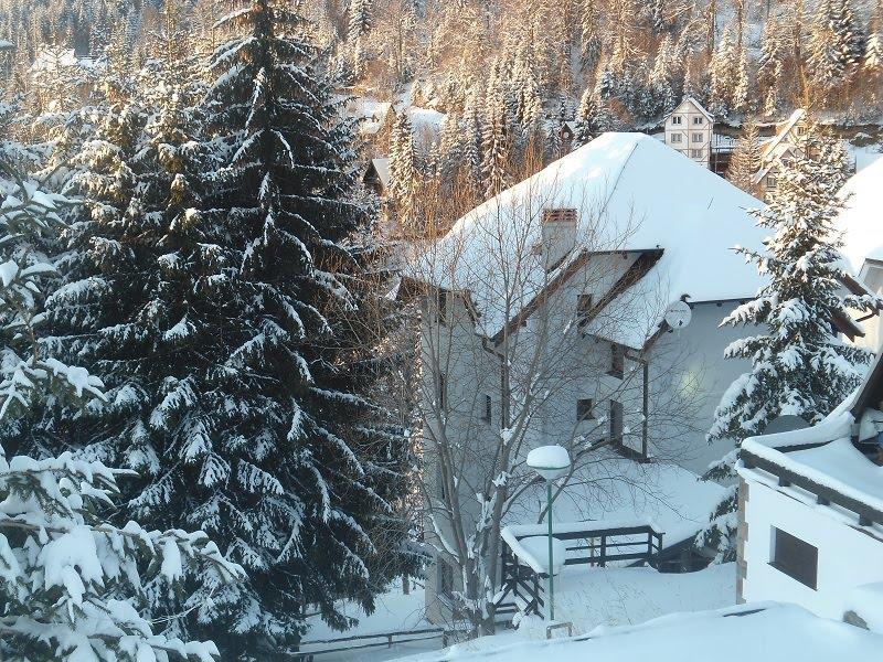 Stara Bacija Daire Kopaonik Dış mekan fotoğraf