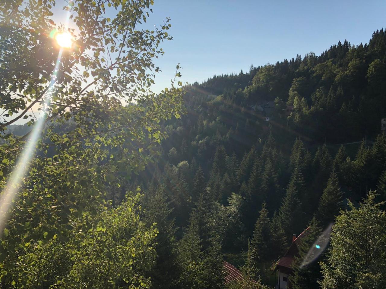 Stara Bacija Daire Kopaonik Dış mekan fotoğraf