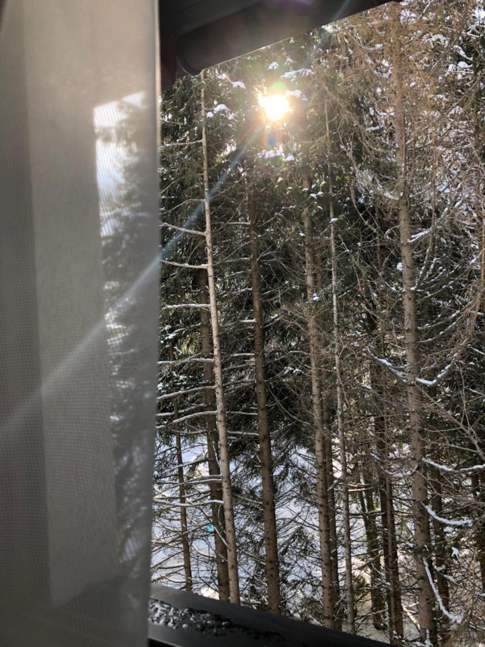 Stara Bacija Daire Kopaonik Dış mekan fotoğraf