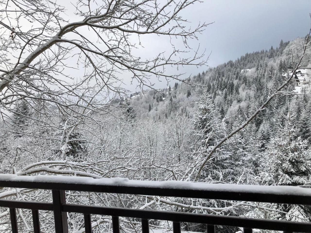 Stara Bacija Daire Kopaonik Dış mekan fotoğraf